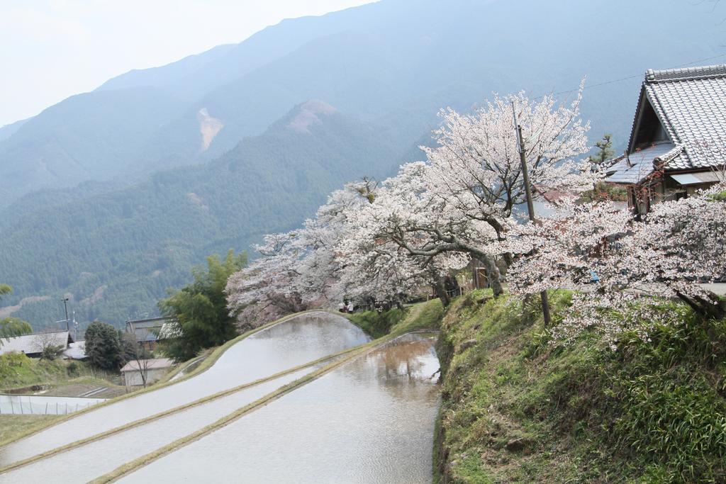 Miyako City Цу Экстерьер фото